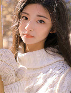 电视剧夜来香-国产8X人视频免费观看