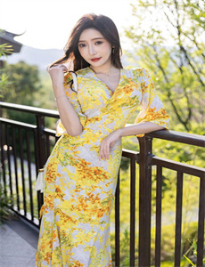 野狼 电视剧-美女的烦恼国语版